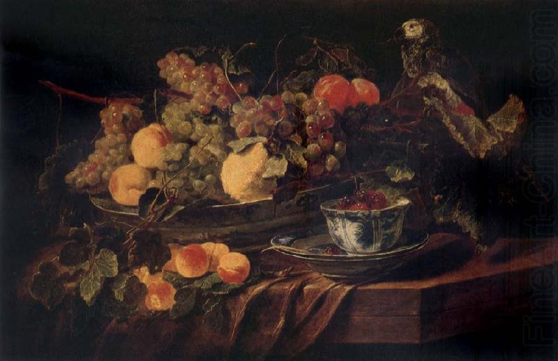 Jan  Fyt Fruit and a Parrot china oil painting image